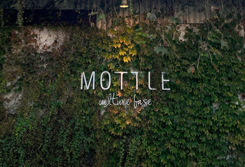 【Popup】MOTTLE in 大阪