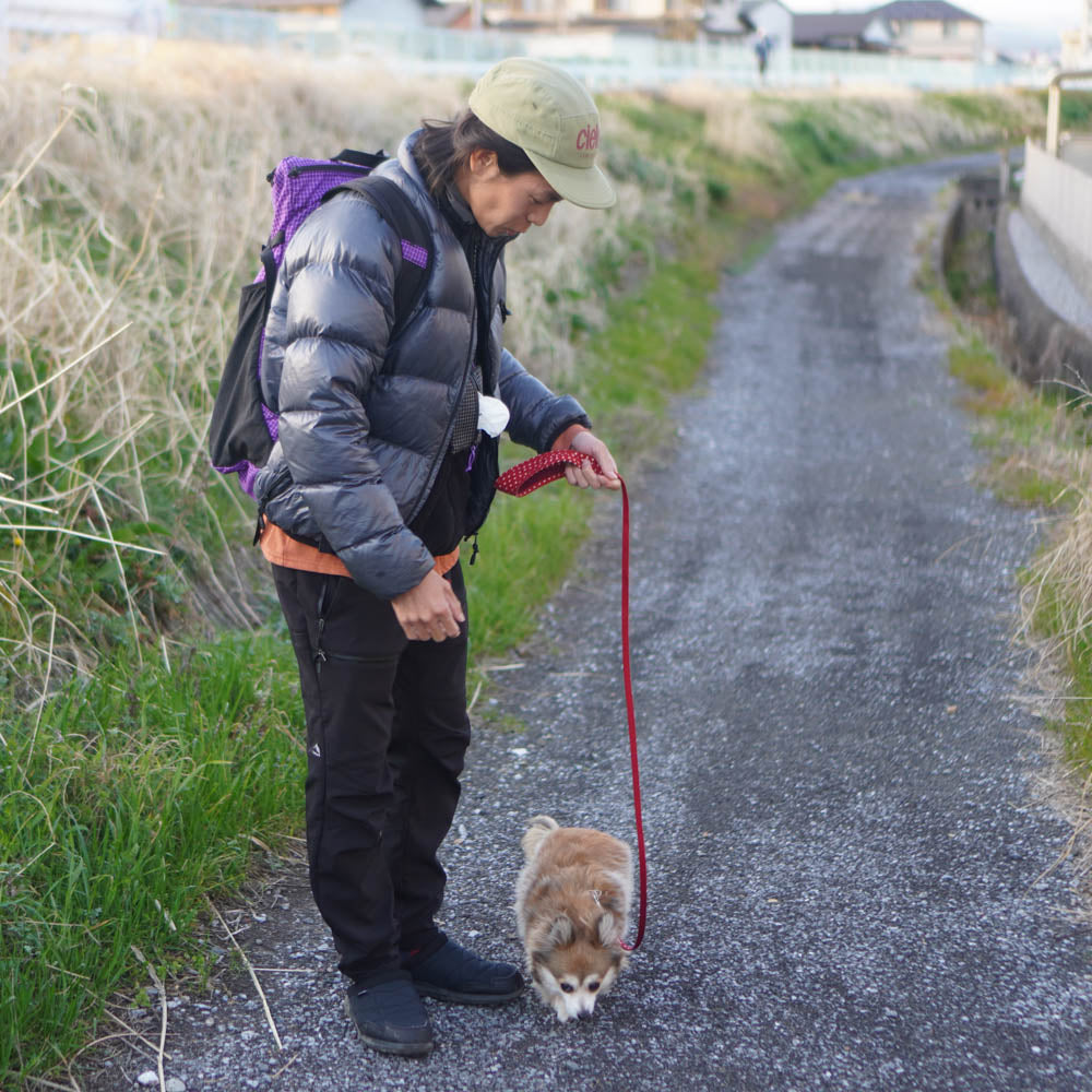 ULポケットティッシュケース